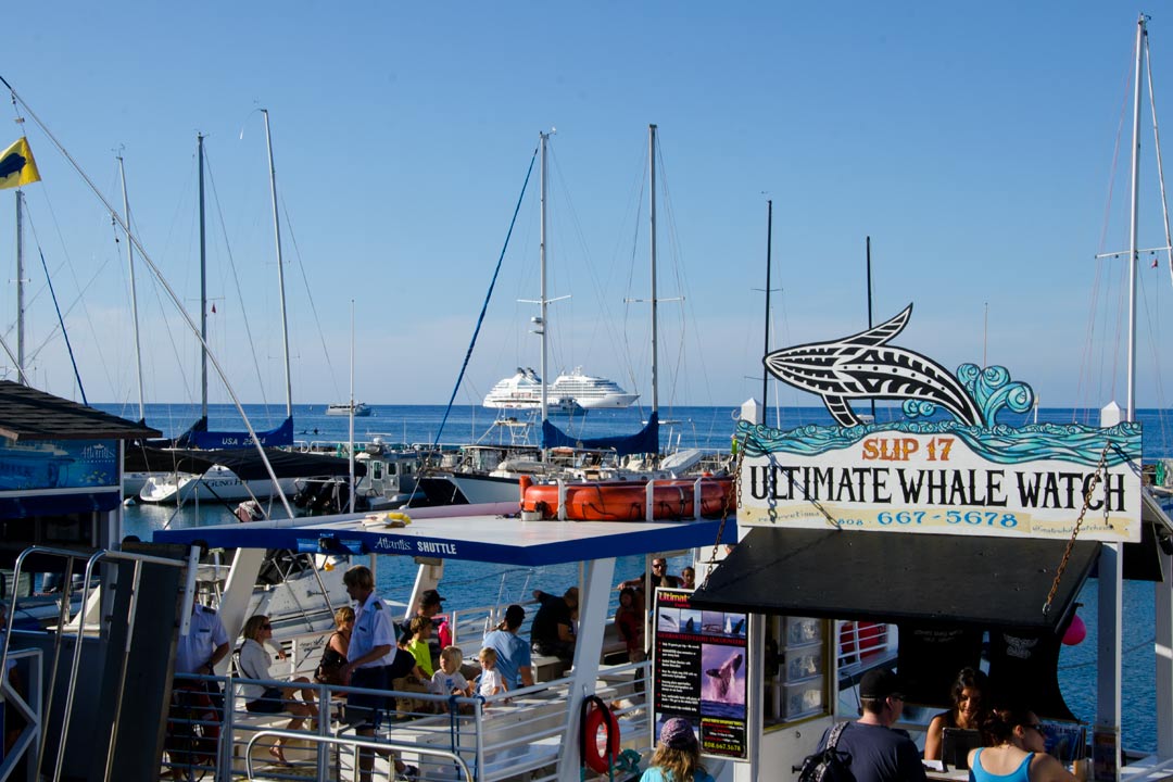 Best Cruise Destination - Hawaii