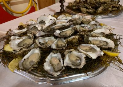 Heb Princess Video 0327