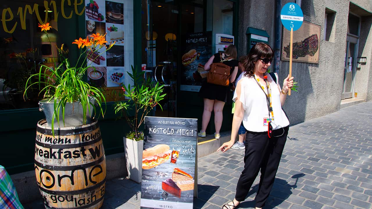 Find the Best Cruise deals