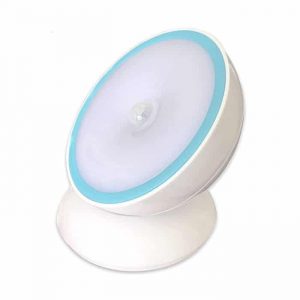 motion sensor cabin light