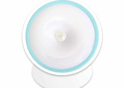 motion sensor cabin light
