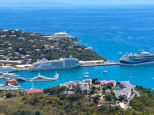 Comprehensive guide to Cruise Line Loyalty programs