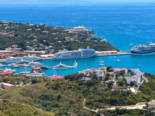 Top 10 Best Selling Cruise Essentials for 2026