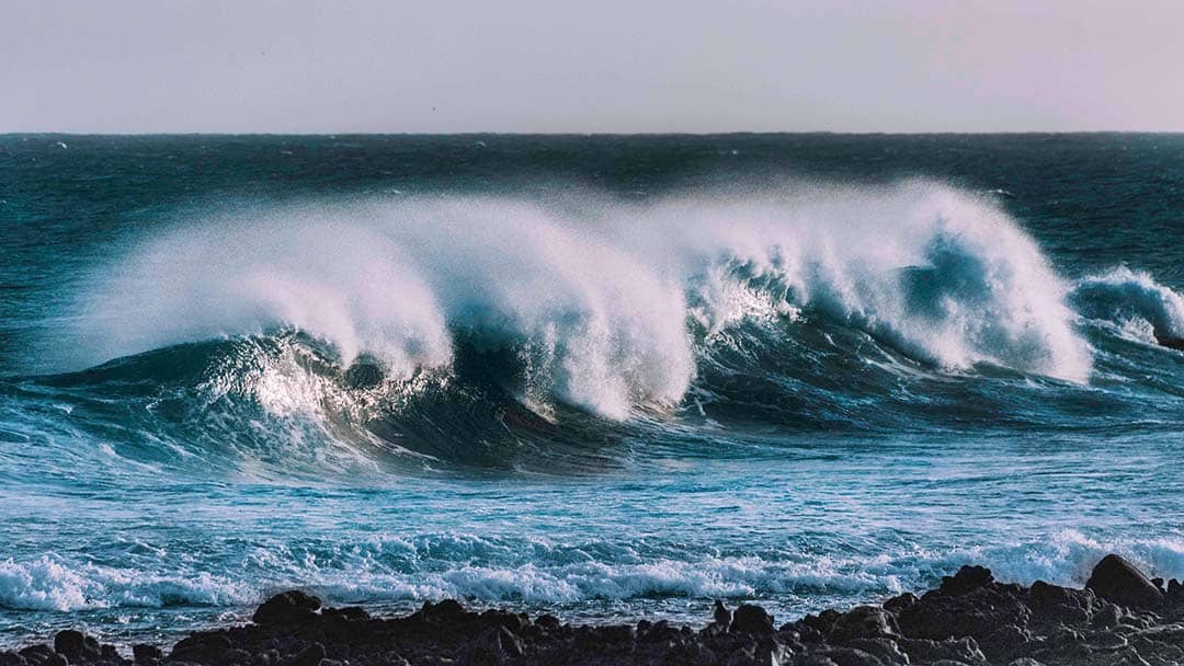 'Wave Season cruise deals January to March — best time to book for onboard credit and discounts'